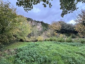 Photo 41- click for photo gallery